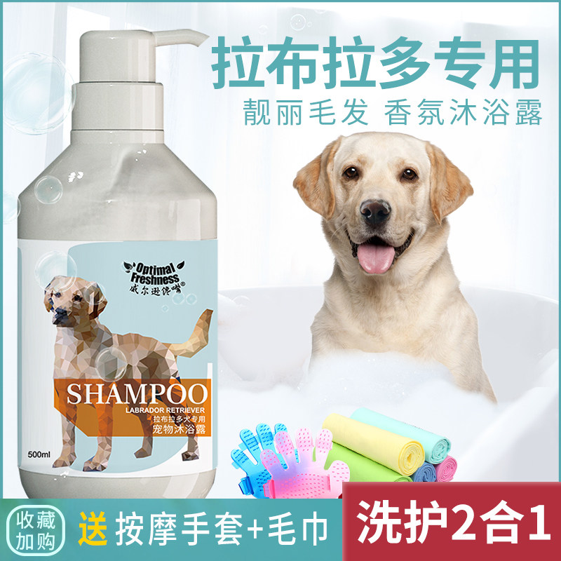 Dog Shower Gel Labrador Relief Itching Deodorant Deworming Pet Bath Supplies Shampoo