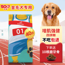 Golden fur dog food 40 catty puppies for dog special medium large dogs universal beauty hair tonic calcium natural grain 20kg