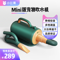 Presale) small red chestnut pet blowing water machine large dog hair dryer Puppy deity special kitty drying box