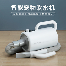 Small Red Chestnut Pet Blown Water Machine Large Dog Kitty Household Drying Blown Hair God Instrumental Dog High Power Hairdryer