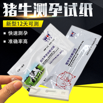 Pig early pregnancy special pregnancy paper pig test stick sow early pregnancy test paper test sow pregnancy test paper diagnostic test paper