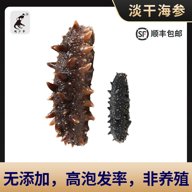 Squid master dry sea cucumber light dry open bag ready-to-eat custom quick hair Qingdao thorn ginseng dry seafood gift box High-grade gift box