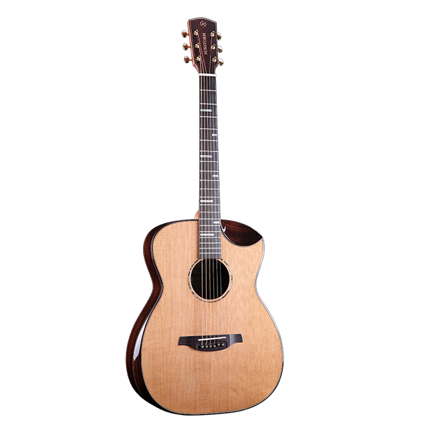 Sunstorm solar wind T series high-end handmade custom guitar full veneer Guitar Face Single Guitar TF-60R