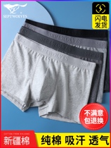 Official store flagship seven wolf panties mens pants square cotton male pants large-coded mens shorts four corners of all cotton