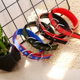 Сотрудничество для собак большая собака средняя маленькая маленькая собака золотисто -жарко