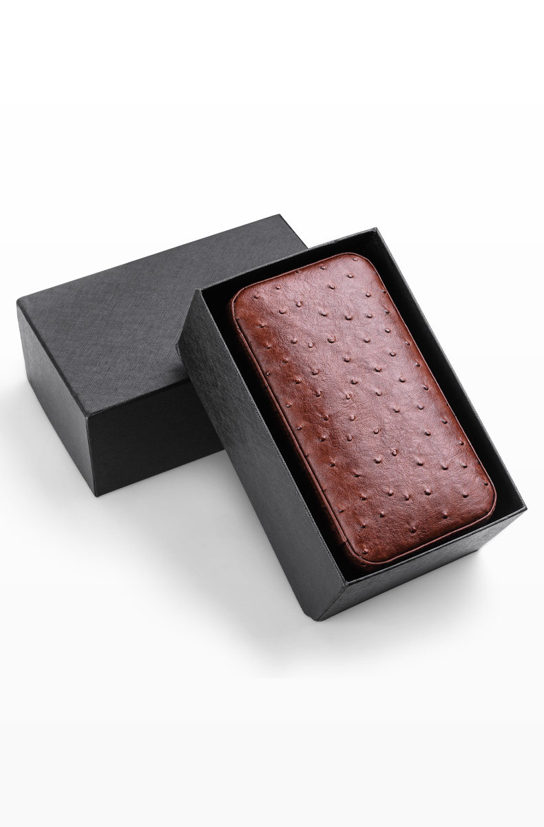 Сигарная коробка --- Яйцо Дракон_16.jpg