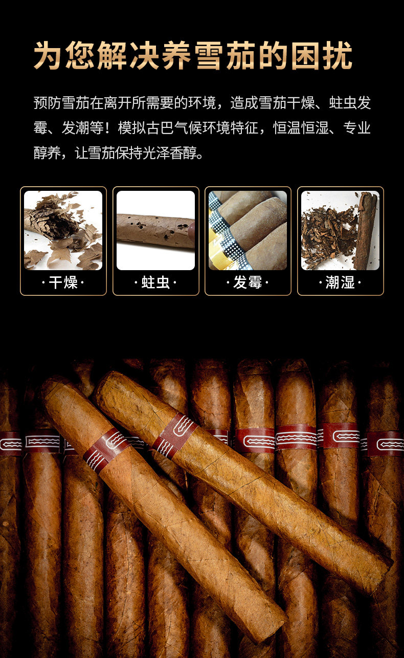 168 Double Pin Jiaolong_04.jpg