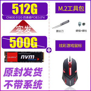 七彩虹CN600 512g/500g/1T M.2 nvme m.2固态电脑固态硬盘高速ssd