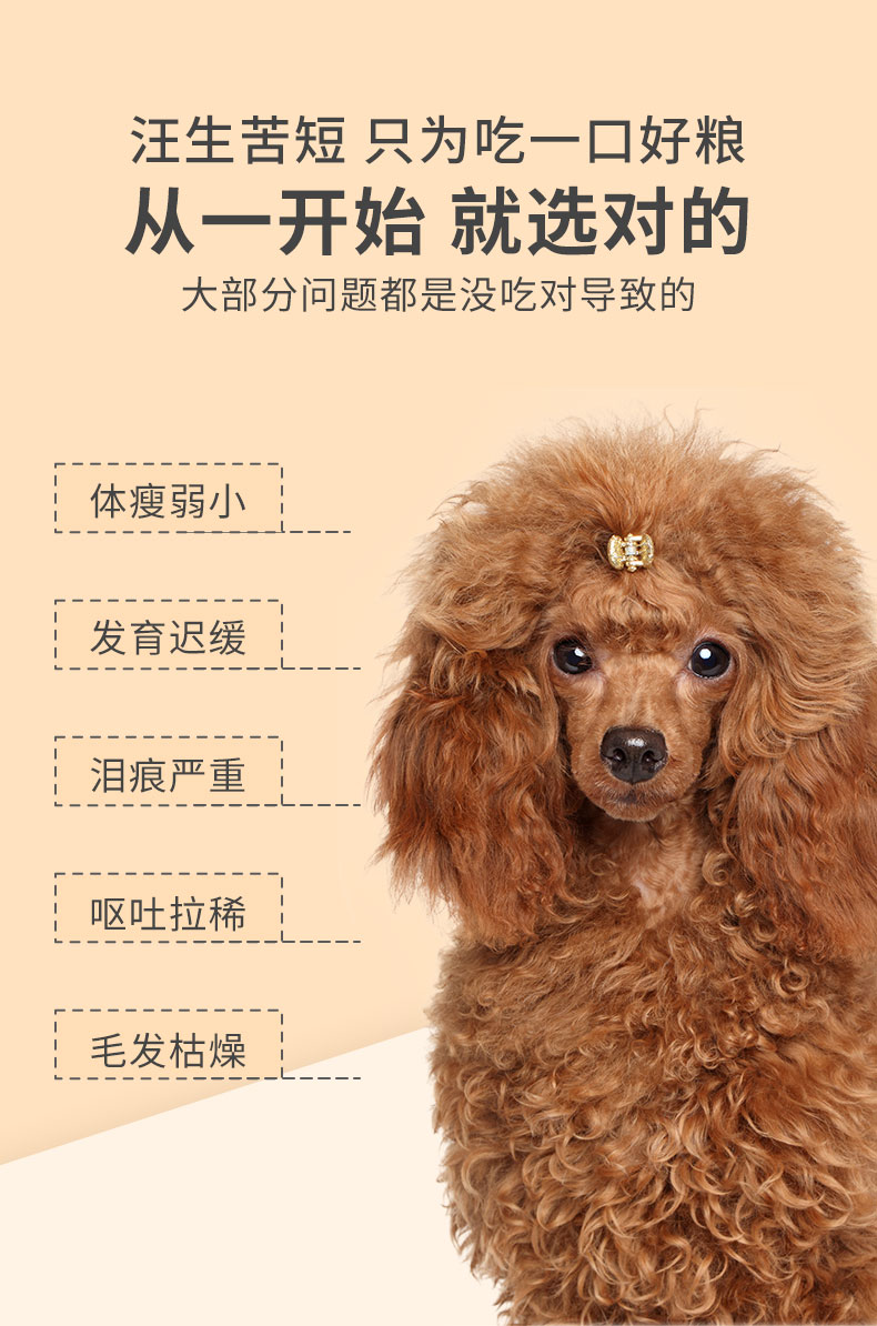 泰迪成犬专用狗粮40斤装