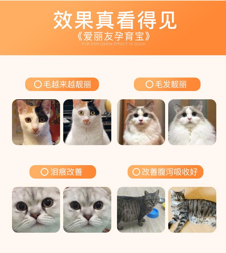 Dinh dưỡng mèo Ailiyou, mèo non, cho con bú, toàn bộ ruột, vỗ béo, canxi, mèo mẹ, mang thai, cho con bú sau sinh - Cat / Dog Health bổ sung bio milk cho mèo