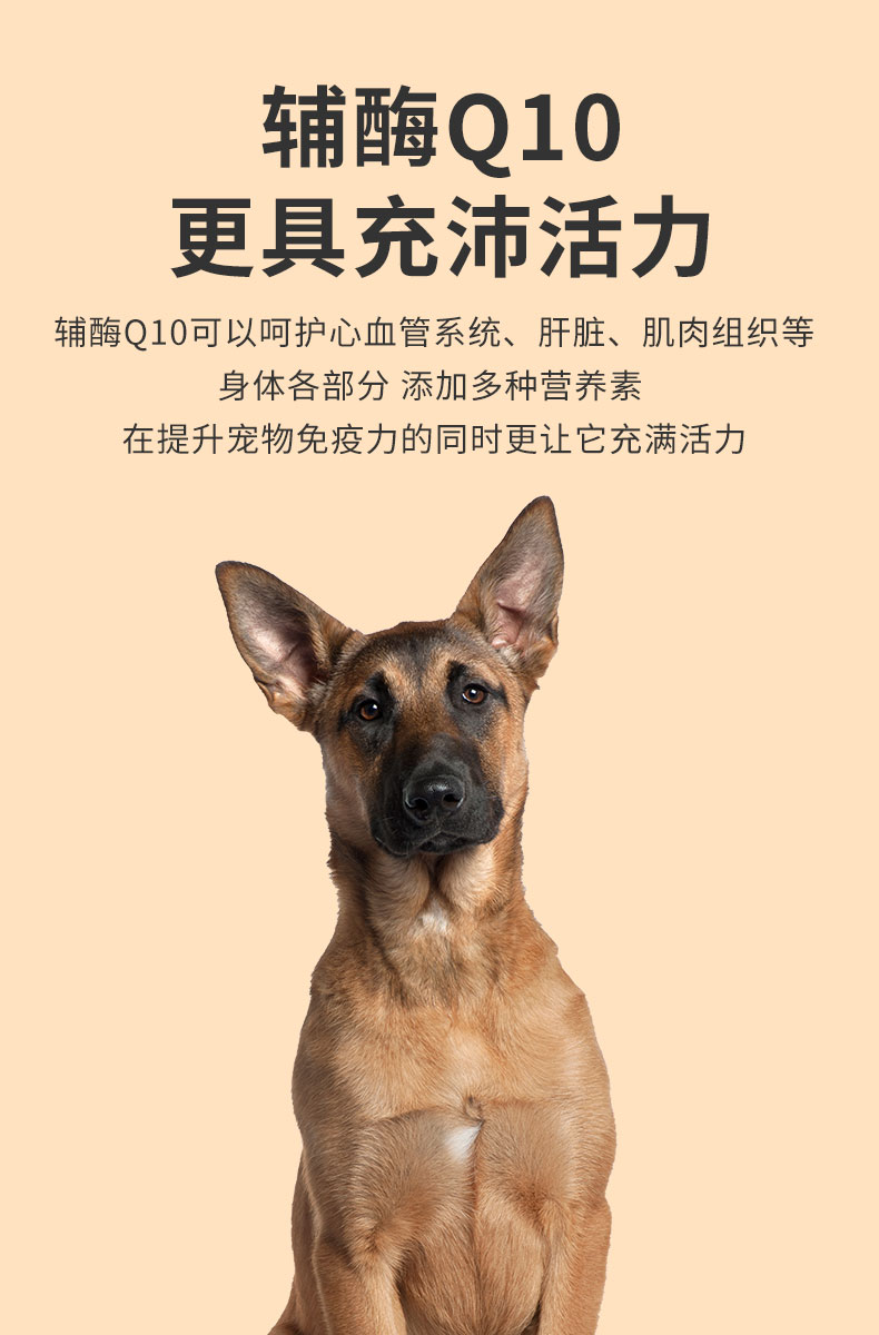 马犬狗粮通用型20kg装