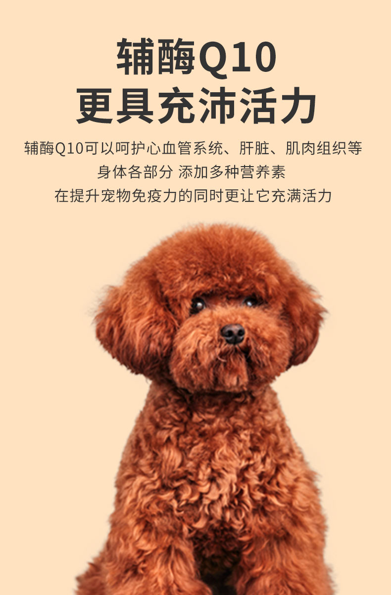 泰迪成犬专用狗粮40斤装