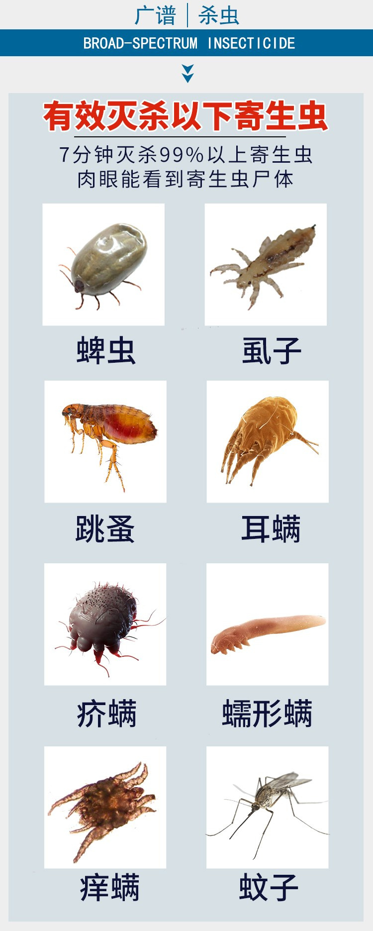 Ngoài 灵, ngoài Lai Ling còn bọ cạp ngoài bọ ve, bọ chét, mèo và chó, thú cưng tắm thuốc, giun ngoài, chó - Cat / Dog Medical Supplies