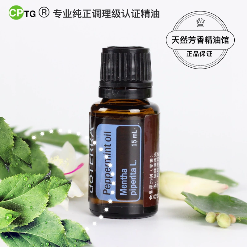 Tinh dầu bạc hà Dotray chính hãng Tinh dầu bạc hà 15ML - Tinh dầu điều trị