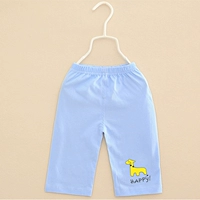 Синяя хлопковая пони, штаны