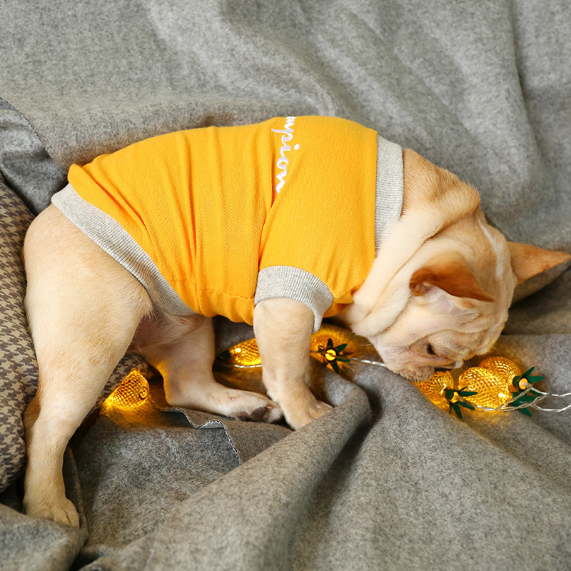Net red dog pháp luật chiến đấu ngắn béo nhỏ chó nhỏ vest mỏng Pháp quần áo bulgie Pháp mùa xuân và mùa thu thủy triều mới - Quần áo & phụ kiện thú cưng quan ao cho meo