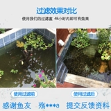 Принесение седиментации склада рыбного аквариума для рыбного пруда Filter Box