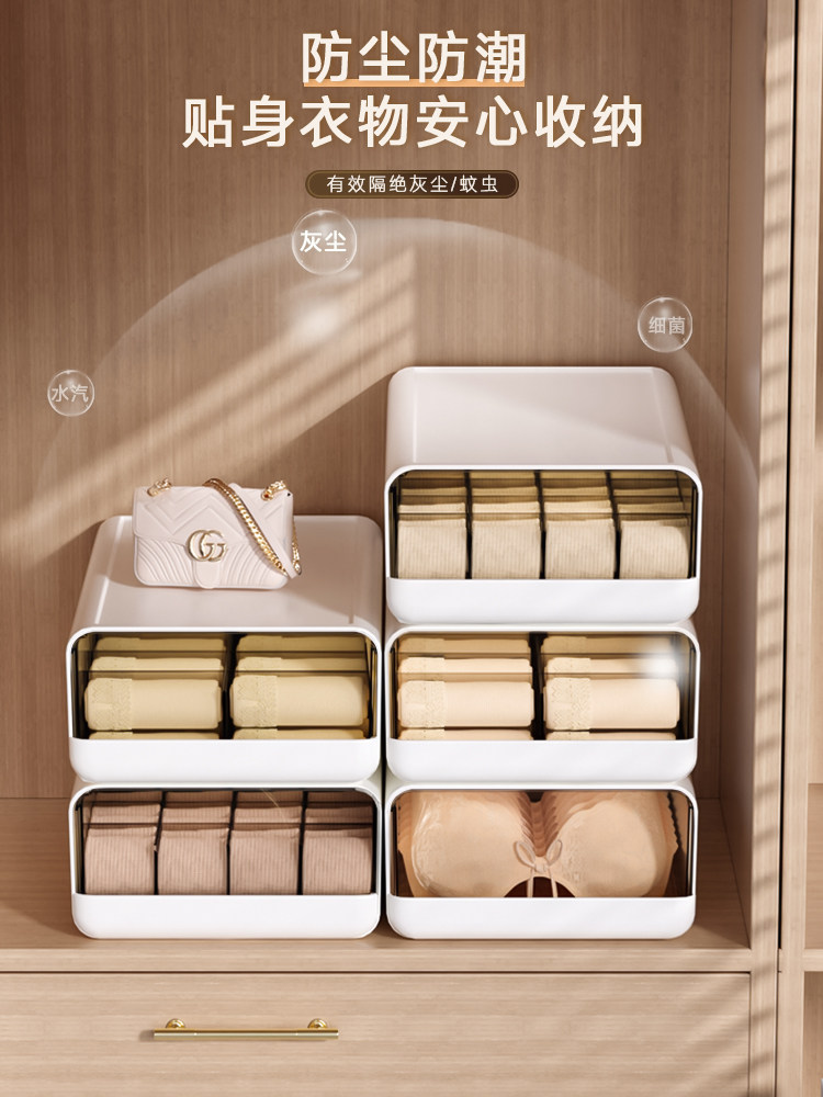 Underwear Storage Box, Drawer-Type, Home Wardrobe Divider for Storing Intimate Clothing, Underwear, Socks, and Organizing Them in One Fell Swoop