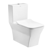 MICAWA Meicahua MB-1859 conjoined toilet.