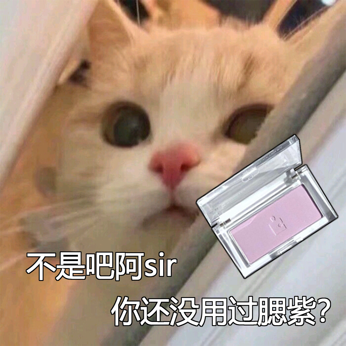 Not explicitly white count I lose Holika blush Purple Matt Jigsaw Blush Apricot Lavender Purple Daily Meta 100 lap