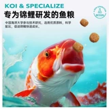 BESSN корм для рыб кои, высокопротеиновая формула соревновательного класса, гранулированный корм для рыб, улучшает цвет тела, спирулина не мутит воду