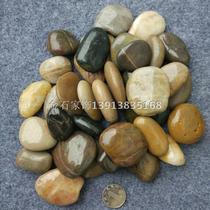 Natural rain flower stone pebbles Colorful Stone Park paving stone flat stone small stone stone sold by Jin