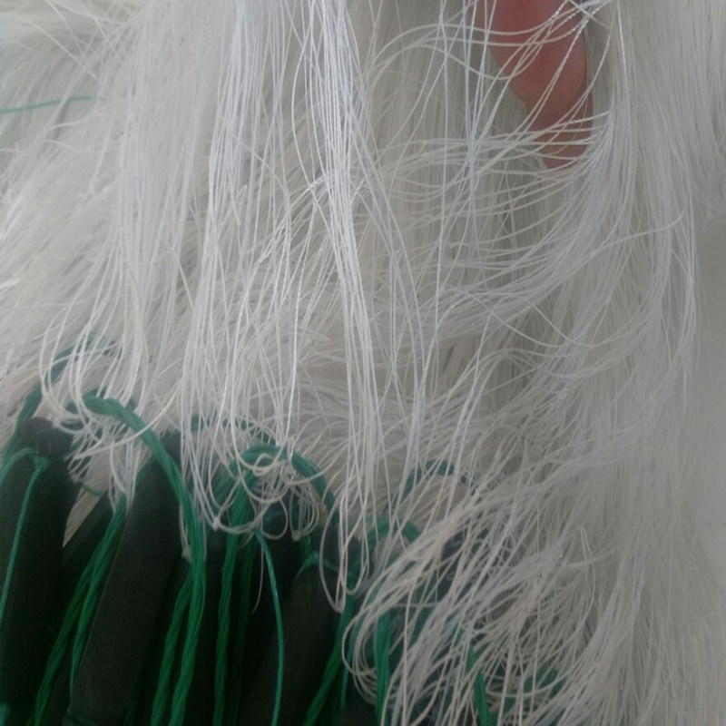 Nylon Wire Monolayer Fishing Nets Nylon Suede Nets Fishing Nets Nets Nets Sticky Nets Carp Pond Carp Silver Hanging Subnets