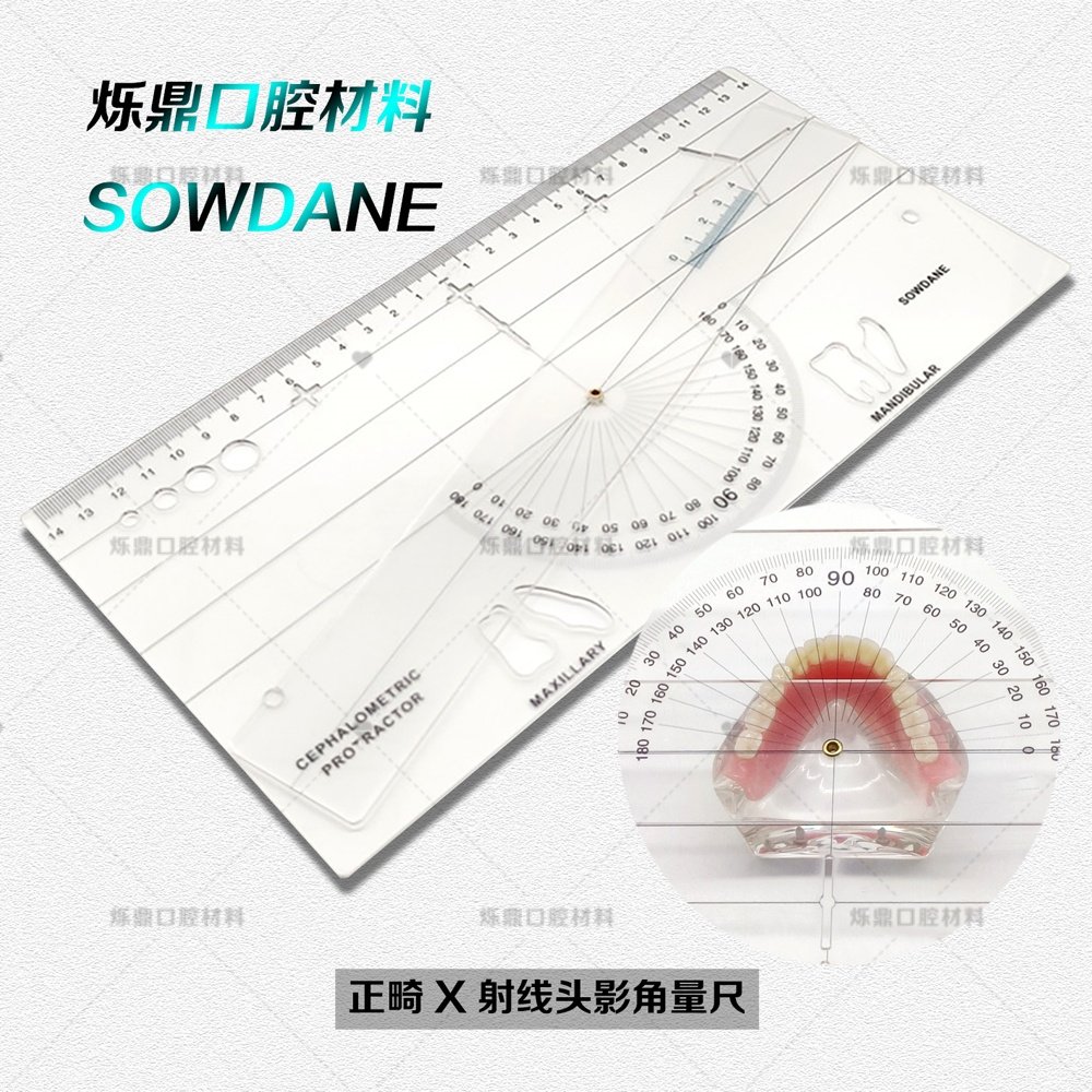牙科测量尺正畸尺X射线头影测量尺头影角度测量尺齿科口腔护理
