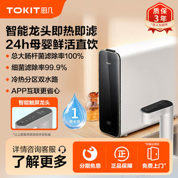 Tokit Kitchen Counter 600Q Dual-Use Hot and Cold Water Dispenser Under-Sink Ro Reverse Osmosis Water Purifier