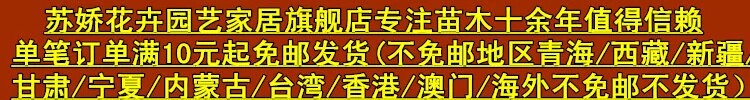  2268586520.jpg_.webp