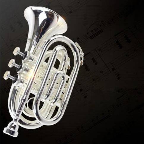 Brand New Genuine Lacquered Nickel-Plated Xinghai Trumpet Instrument, Palm Trumpet Instrument for Beginners, Grading Exams, and Performance