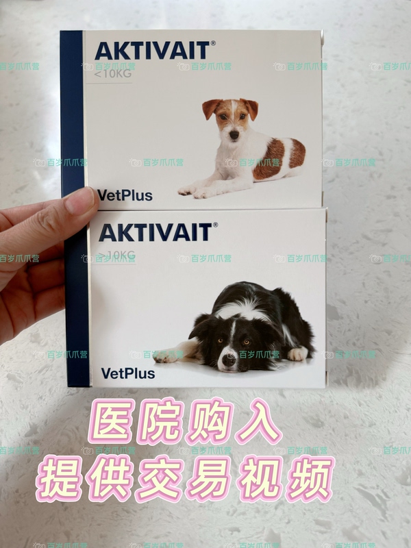 British Chongtebao Aktivait Brain Vitality for Dogs and Cats with Alzheimer’S Cognitive Disorder Bones 60 Tablets