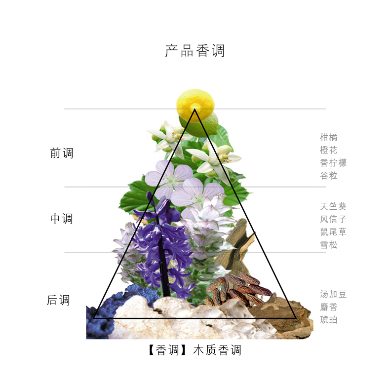 意大利进口 范思哲 同名男士淡香水 50ml 图3