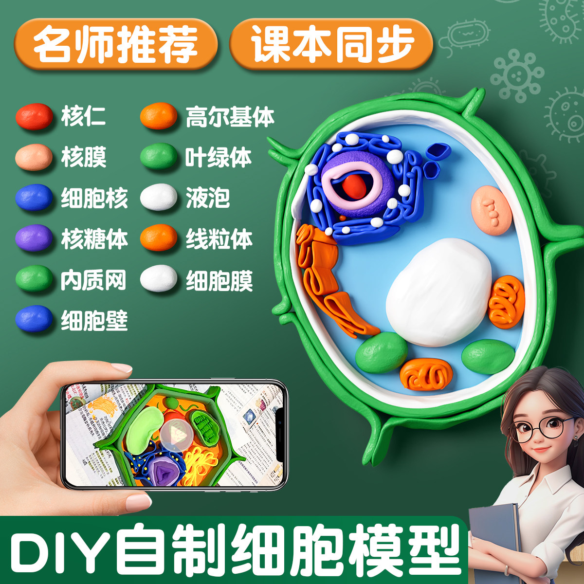 动植物细胞模型手工制作真核材料包七年级初一生物作业细菌diy粘土自制初高中学生, image size:1200x1200