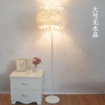 Feather Floor Lamp Bedrooms BEDROOM INS WIND GIRL LIVING ROOM LIGHT LAVISH SOFA ART ADVANCED SENSUO WEDDING BED HEAD CABINET TABLE LAMP
