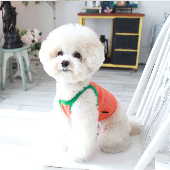 Korean Special Cabinet Endorpet Pet Clothing Dog Kitty Vest Watermelon Summer Dress Cool Pure Cotton Knit Breathable 