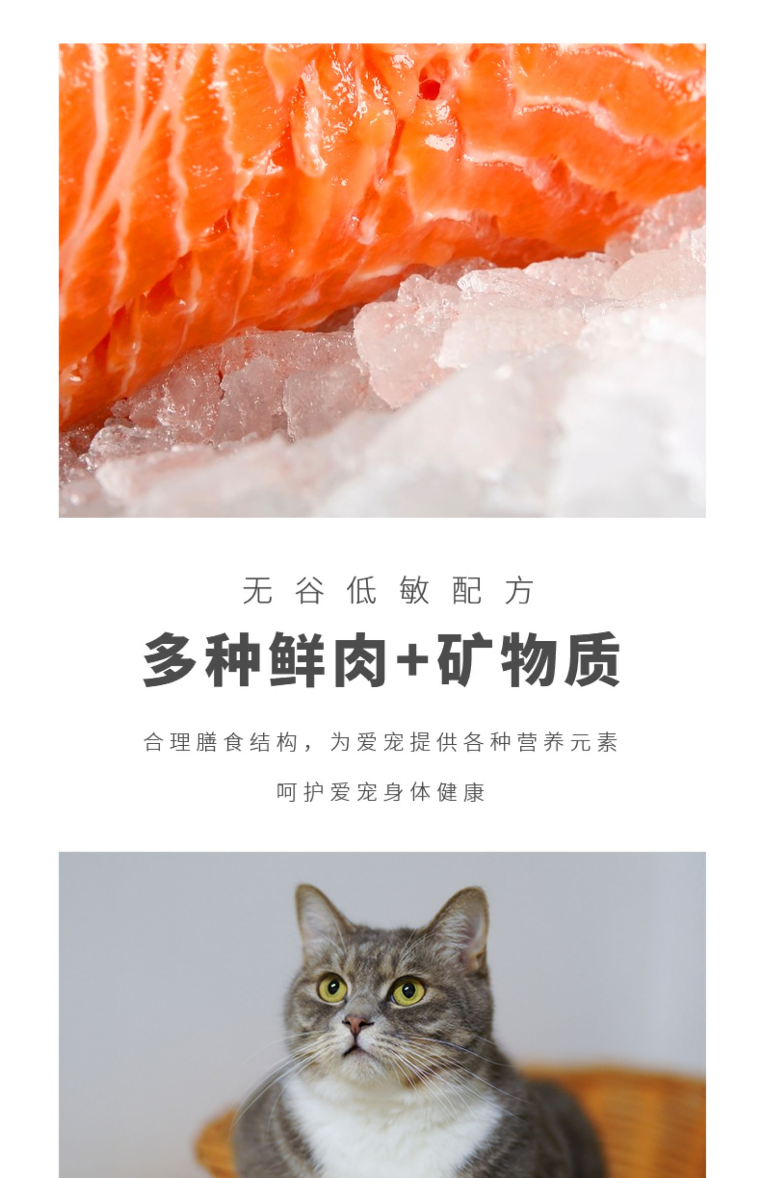 Ydy finder 7 loại cá Thức ăn cho mèo không có hạt tự nhiên vào một con mèo phổ biến Thức ăn cho mèo lông béo GM cố gắng ăn 300 gram - Cat Staples royal canin cho mèo con