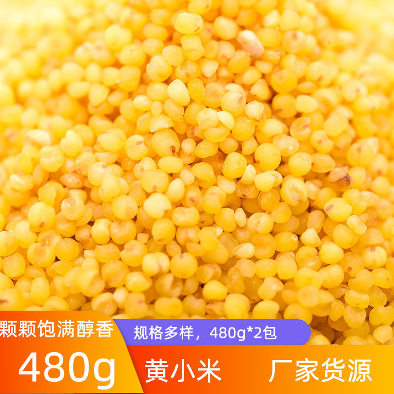 Grain Year Long Gold Millet 480g * 2 packs