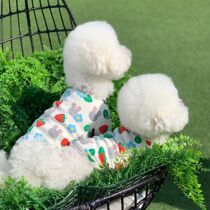 South Korea Ins Strawberry Rabbit Pet Clothing Pooch Cat Cute Soft And Thin Suede T-shirt Bomei Yokha