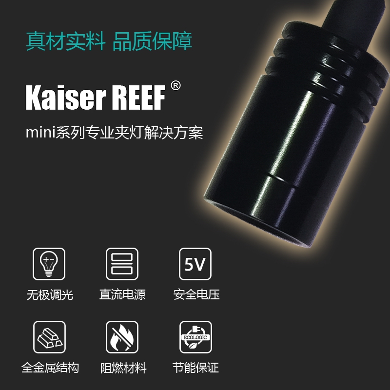 Kaiser Caesar native South American shaped rat fish tank Three lakes stream water grass turtle LED spot light clip light Ornamental fish