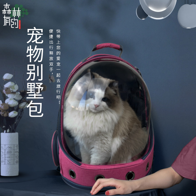Cat Bag Out of portable Double Shoulder Space Cabin Bag Backpack Pooch cat Rod Box Cat Cage Outside With Pet Bag-Taobao
