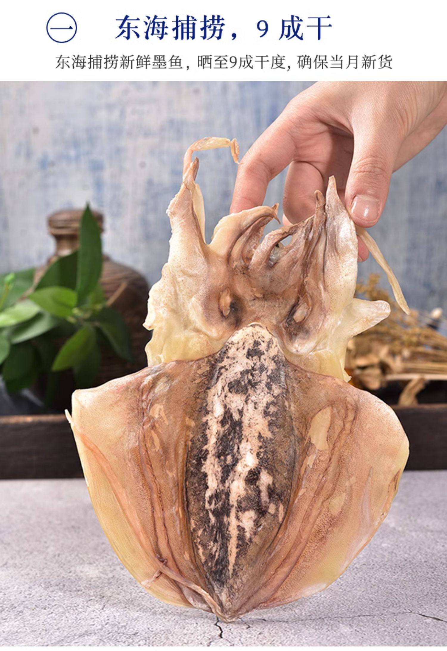 浙漁船墨魚干500g干貨