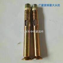 Internal expansion flat top machine wire implosion countersunk head flat head cross expansion screw M6 machine 