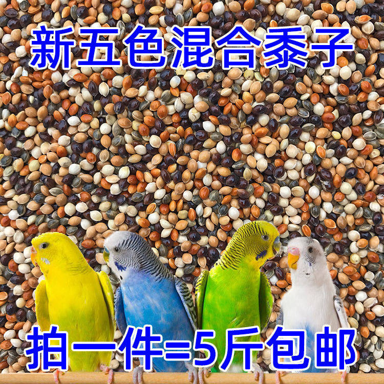 Parrot Mixed Grain Pigeon Grain 5 Color Mixed Millet Barn Medium Small Parrot Bird Food Feed Tiger Skin Phoenix Tree Peony