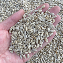 Shelling melon seed seed seed oil sunflower kernel Parrot bird food hamster snack pigeon feed race pigeon ornamental pigeon grain 500g