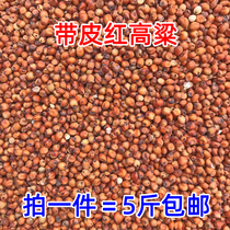 New goods with skin red sorghum rice hulled unpeeled red sorghum wine vinegar pigeon feed grains 5 pounds