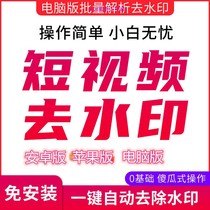 Short video Picture Self media go watermark software video parsing to logo to watermark computer mobile version