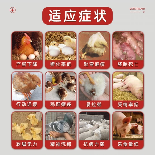 Электролитический многоразмерный следовой элемент зверя курица, утка, свинина, крупный рогатый скот, укрытие, укрытие и писательница птицы различных витаминов добавок