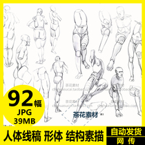 The body line draft body structure sketch uses rectangular columns to draw sketches and copy reference materials