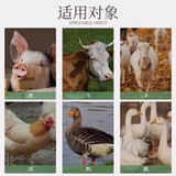 Пленки Lotus Shuanghuan